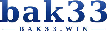 bak33 logo